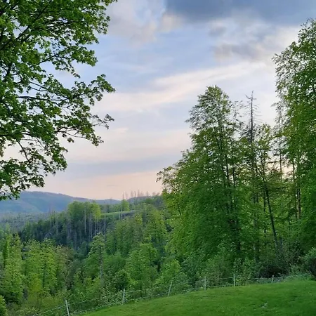 公寓 Ferienwohnung-harzidyllisch