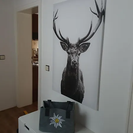 アパート Ferienwohnung-harzidyllisch *