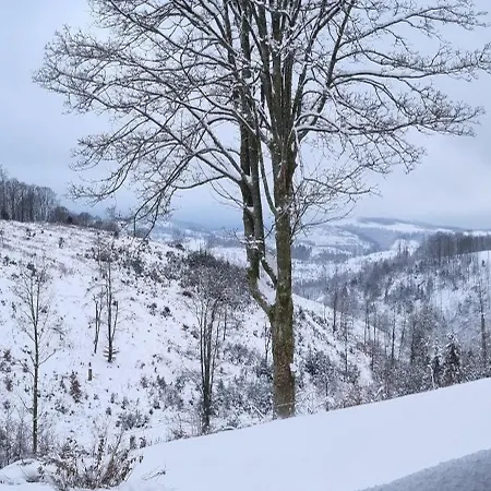 公寓 Ferienwohnung-harzidyllisch