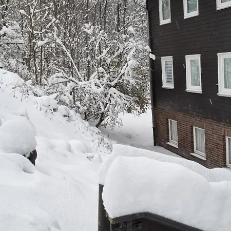 公寓 Ferienwohnung-harzidyllisch *