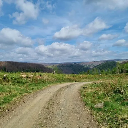 公寓 Ferienwohnung-harzidyllisch 圣安德里斯伯格