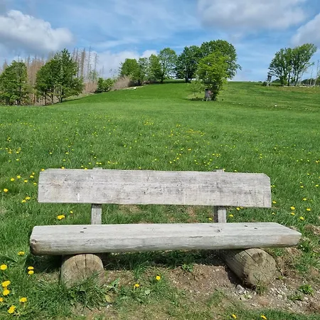 アパート Ferienwohnung-harzidyllisch