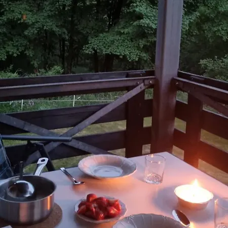 Ferienwohnung-harzidyllisch アパート