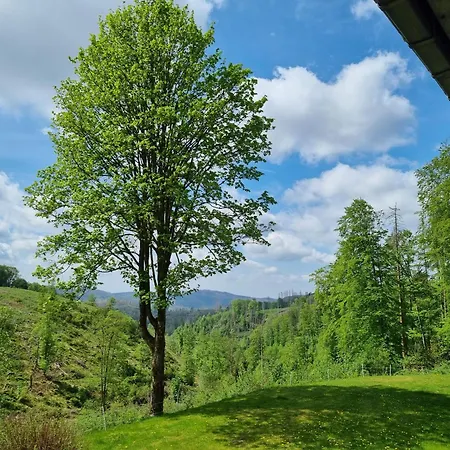 Ferienwohnung-harzidyllisch 公寓 圣安德里斯伯格