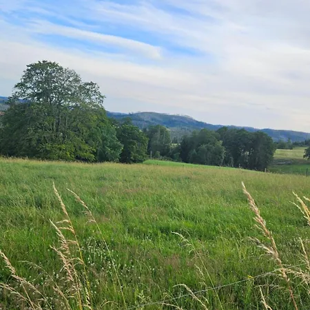 Ferienwohnung-harzidyllisch *