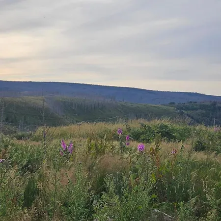 公寓 Ferienwohnung-harzidyllisch