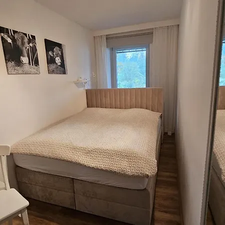 Ferienwohnung-harzidyllisch Appartamento