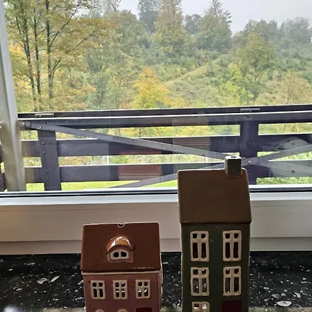 公寓 Ferienwohnung-harzidyllisch