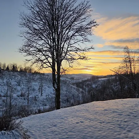 Ferienwohnung-harzidyllisch *