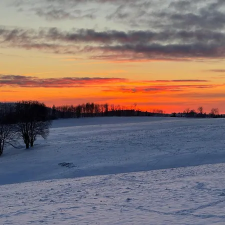 公寓 Ferienwohnung-harzidyllisch *