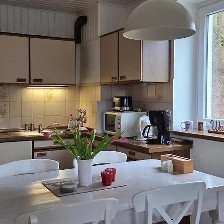 Ferienwohnung-harzidyllisch *