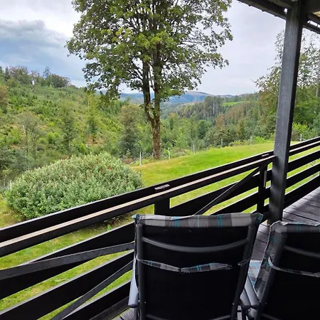Appartement Ferienwohnung-harzidyllisch *